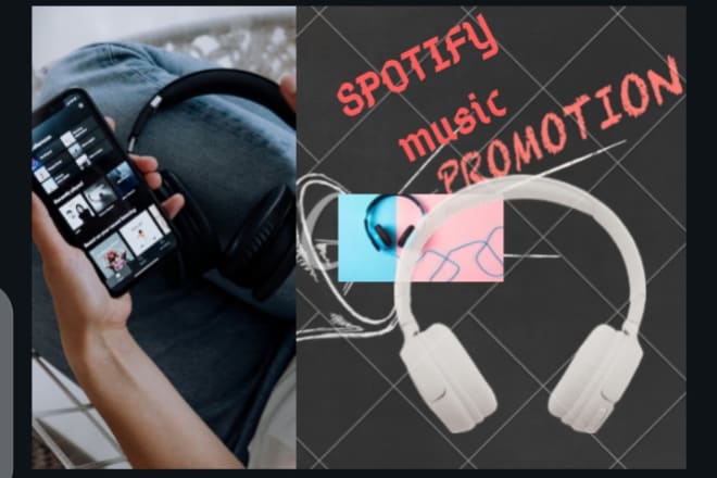I will do organic spotify music promotion for you