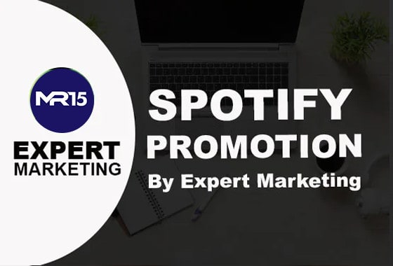 I will do organic spotify music promotion professionally