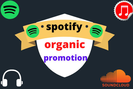 I will do organic spotify promotion to targeted audience