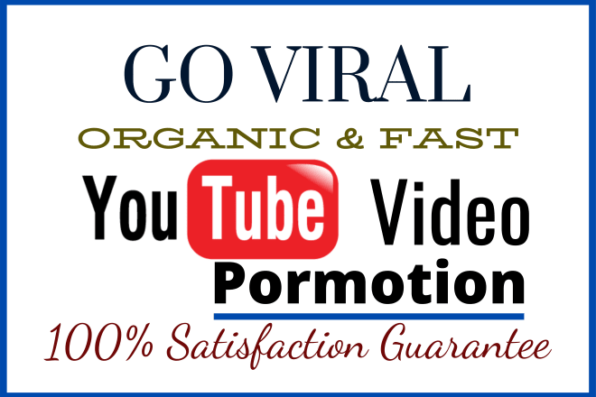 I will do organic youtube video promotion