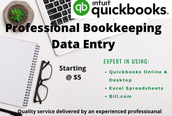 I will do professional bookkeeping and data entry in quickbooks
