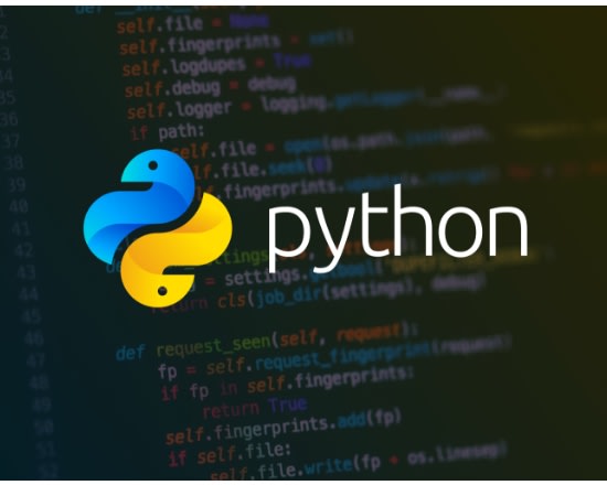 I will do python scripts, code, projects