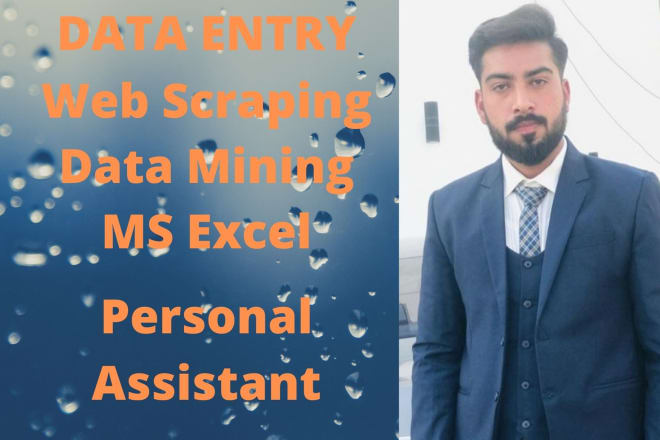 I will do python web scraping, data entry, and data extraction