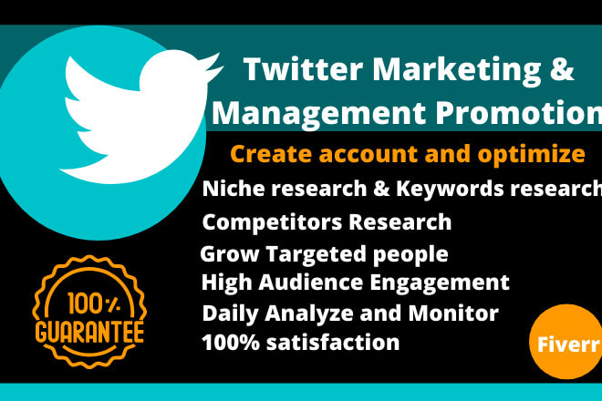 I will do twitter marketing and management promotion