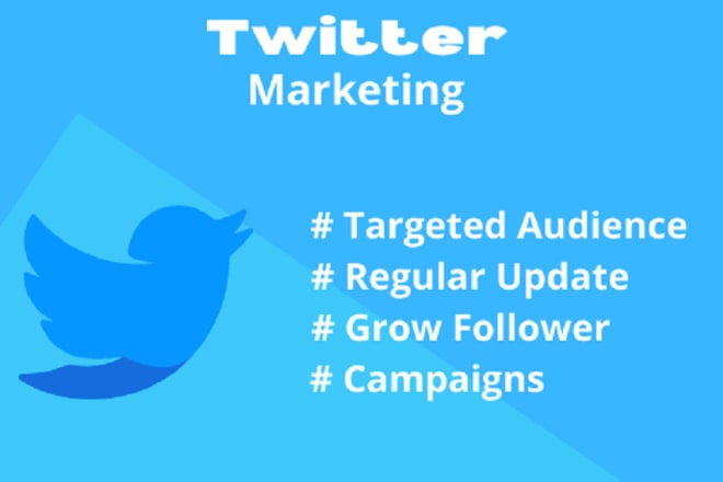 I will do twitter marketing professionally