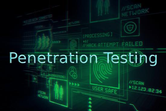 I will do VA and penetration testing of your web,network,app