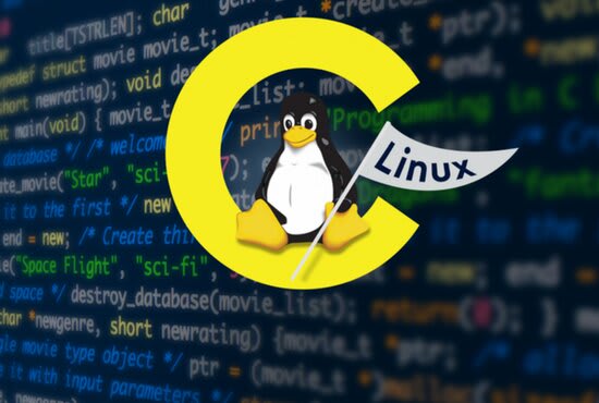 I will do your linux c cpp c plus plus programming tasks and projects