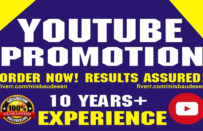 I will do youtube video promotion and promote music video with free bonuses