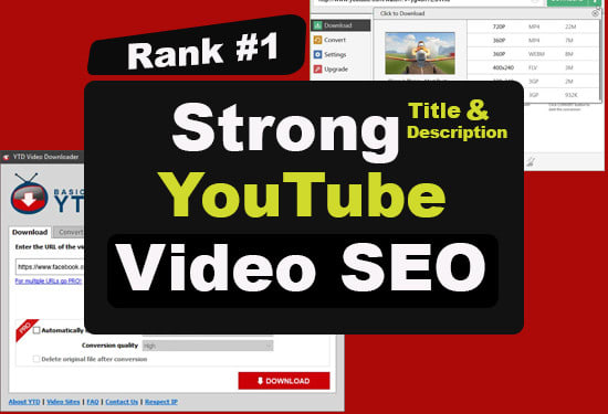 I will do youtube video seo for video rank and grow audience