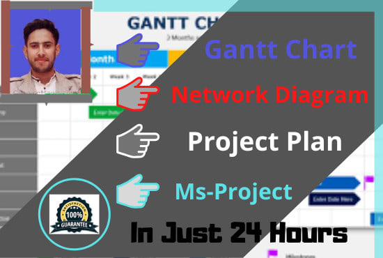 I will draw gantt chart and project plan using ms project