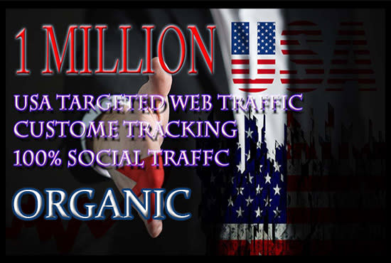 I will drive 1 million USA organic web traffic real human