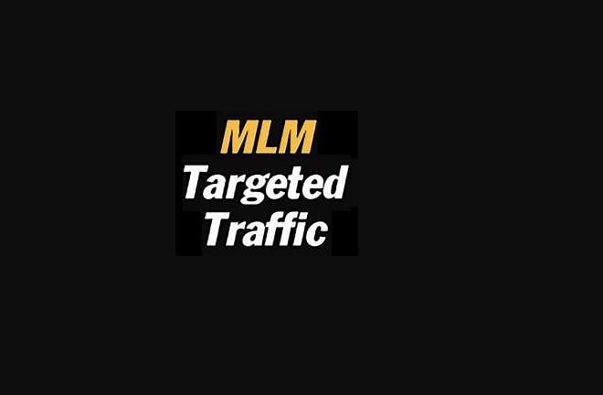 I will drive crypto MLM traffic, MLM promotion, network marketing leads