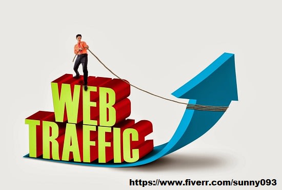 I will drive genuine real direct traffic on your site