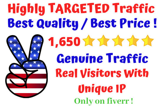 I will drive high quality organic web traffic to your website