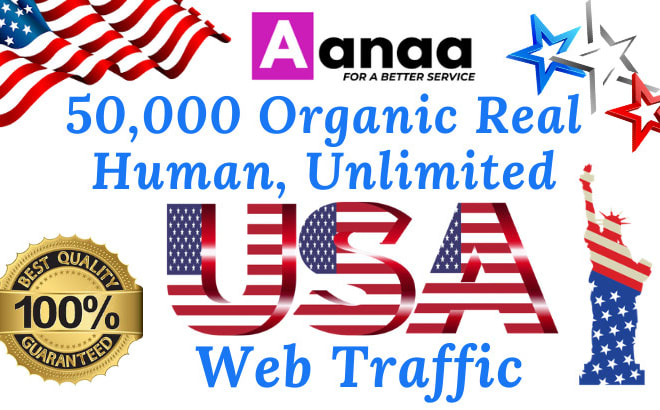 I will drive real organic web traffic