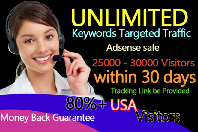 I will drive real unlimited website,traffic,visitors