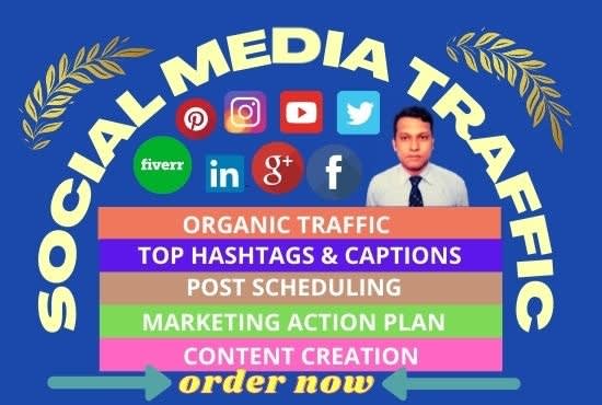 I will drive unlimited social media traffic with real visitors