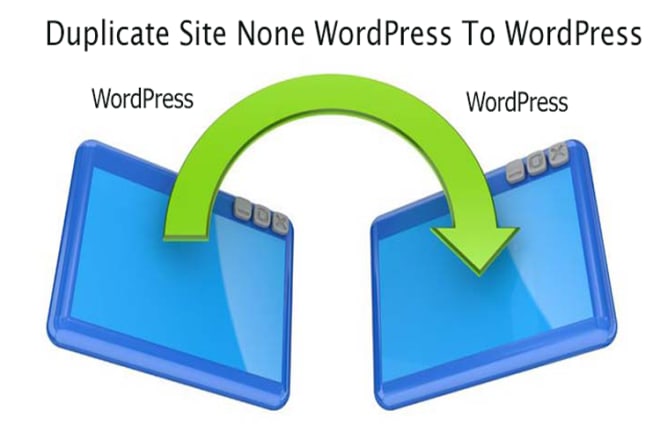 I will duplicate,clone or copy any website into wordpress