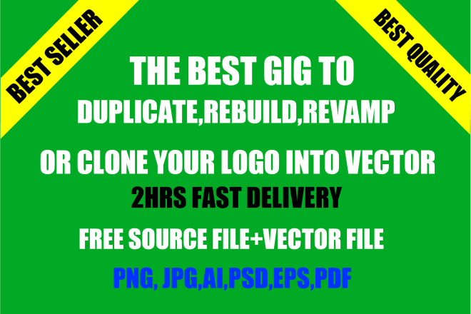 I will duplicate,rebuild,revamp or recreate logo into vector