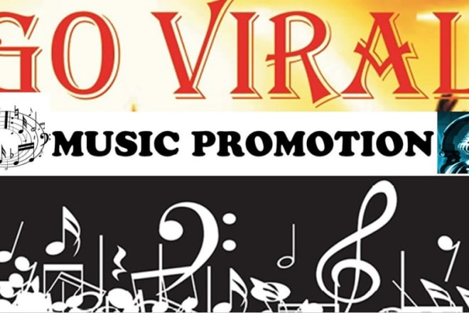 I will execute viral music promotion and be your PR manager
