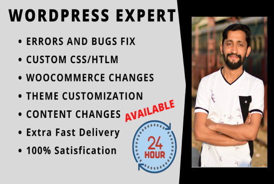 I will expertly edit or changes your wordpress website