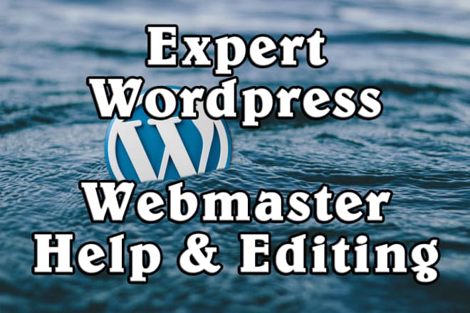 I will expertly edit your wordpress website