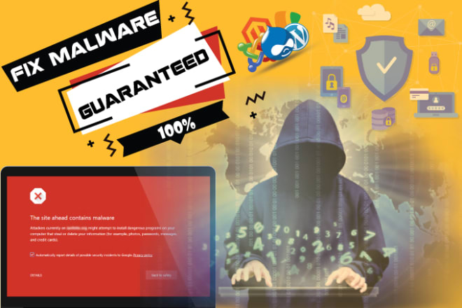 I will fast recover your malware hacked virus website