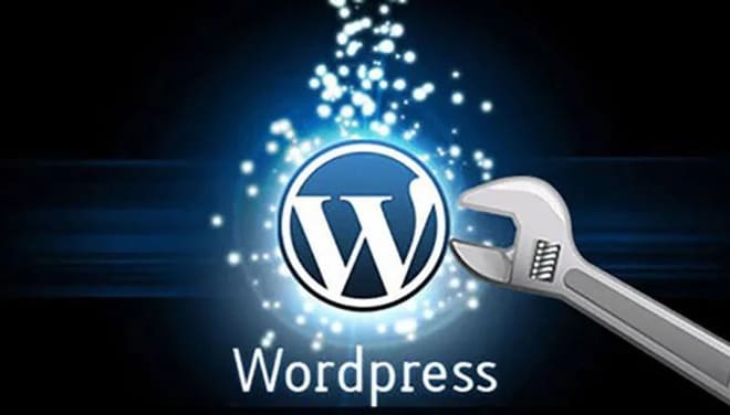 I will fix issues or develop plugin for wordpress