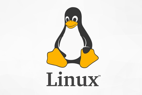 I will fix linux, webmin, iis, windows, ssl,cpanel,whm,plesk,mysql,php,apache,nginx