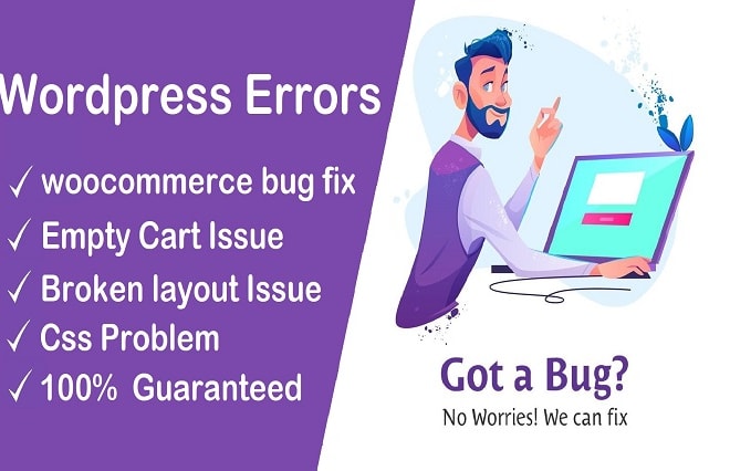 I will fix woocommerce, wordpress issue, error and CSS problem, bug