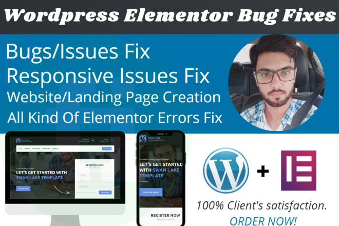 I will fix wordpress and elementor bug or redesign into responsive elementor website