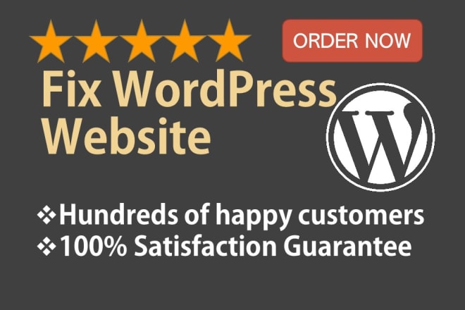 I will fix wordpress bugs, issues or do theme customisation