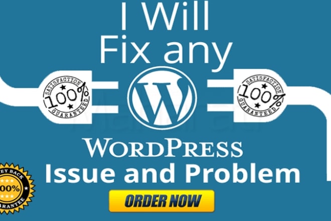 I will fix wordpress CSS quick