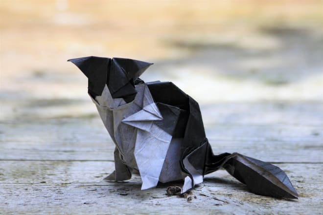 I will fold and send any origami model of your choice