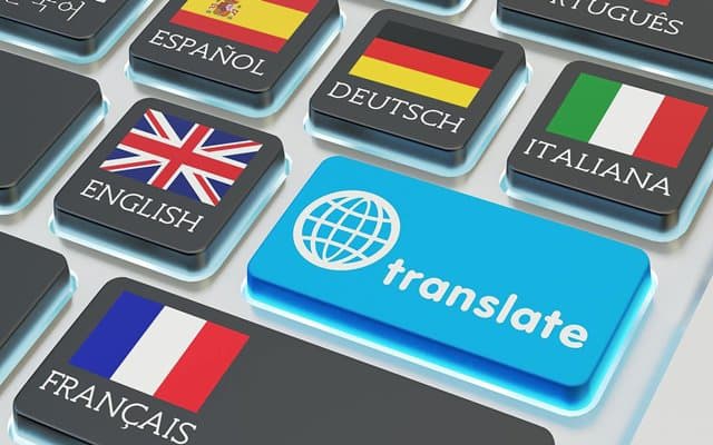 I will french spanish italian german korean japanese dutch translation service
