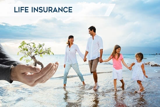 I will generate exclusive life insurance leads final expense assurance leads