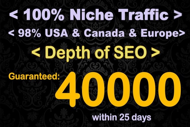 I will get 40k niche targeted seo friendly website traffic