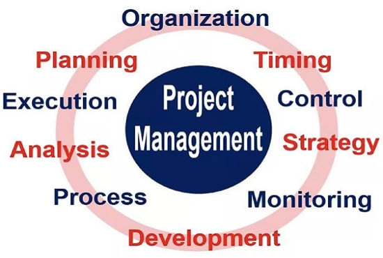 I will handle all your project management needs