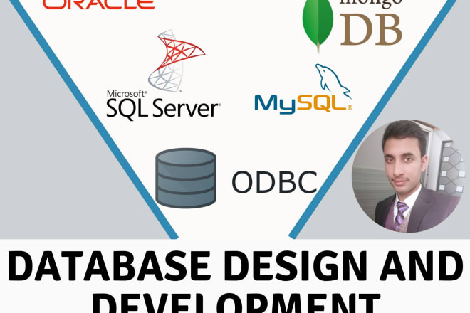 I will help in database design and development projects and tasks