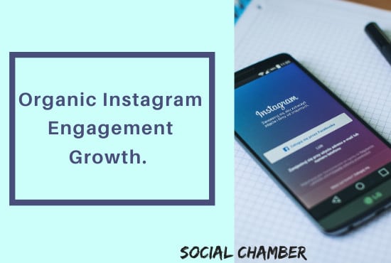 I will help you grow your instagram engagement organically