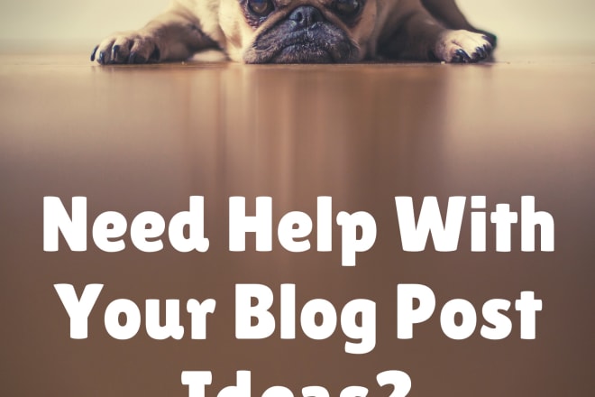 I will help you with unlimited blog post ideas