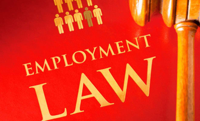 I will help you with your employment, criminal and corporate law questions