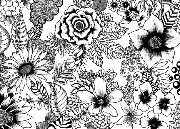I will illustrate your intricate adult coloring book any style