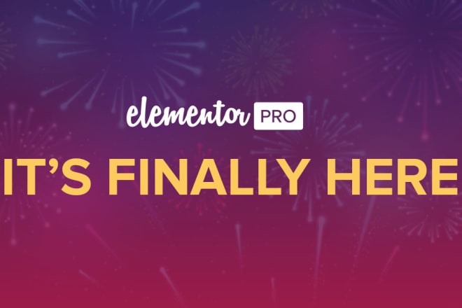 I will install elementor pro for you with official license