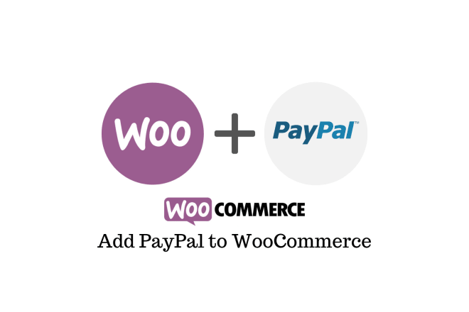 I will integrate business paypal on your wordpress website