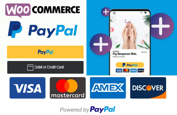 I will integrate paypal and stripe on wordpress website