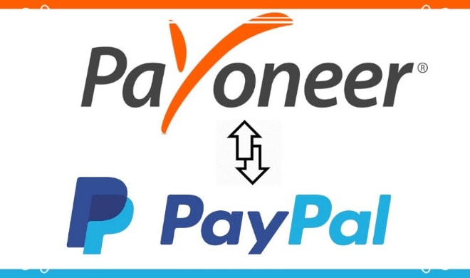 I will integrate paypal or stripe payment gateway to shopify or wordpress website