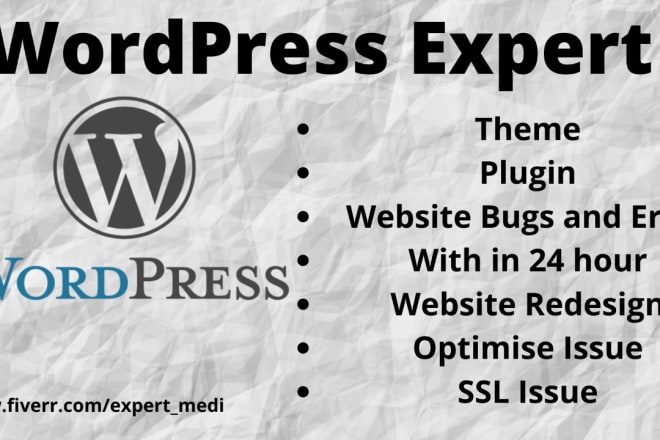 I will make changes and customize wordpress within 24 hours
