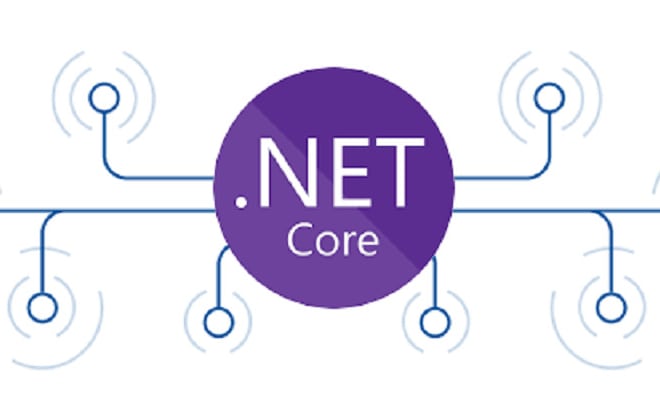 I will make dot net core csharp, API and asp dotnet mvc
