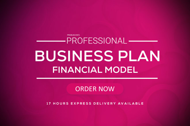 I will make professional business plan and financial model